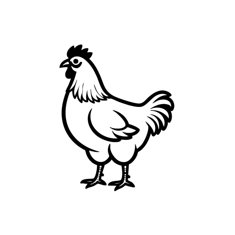Big Egg, pilnvērtīga barība dējējvistām