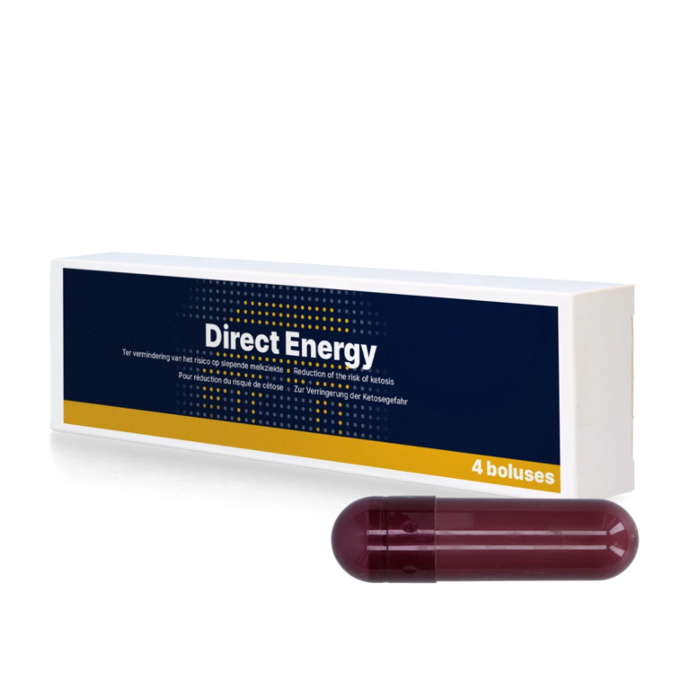 Bolus, Direct Energy