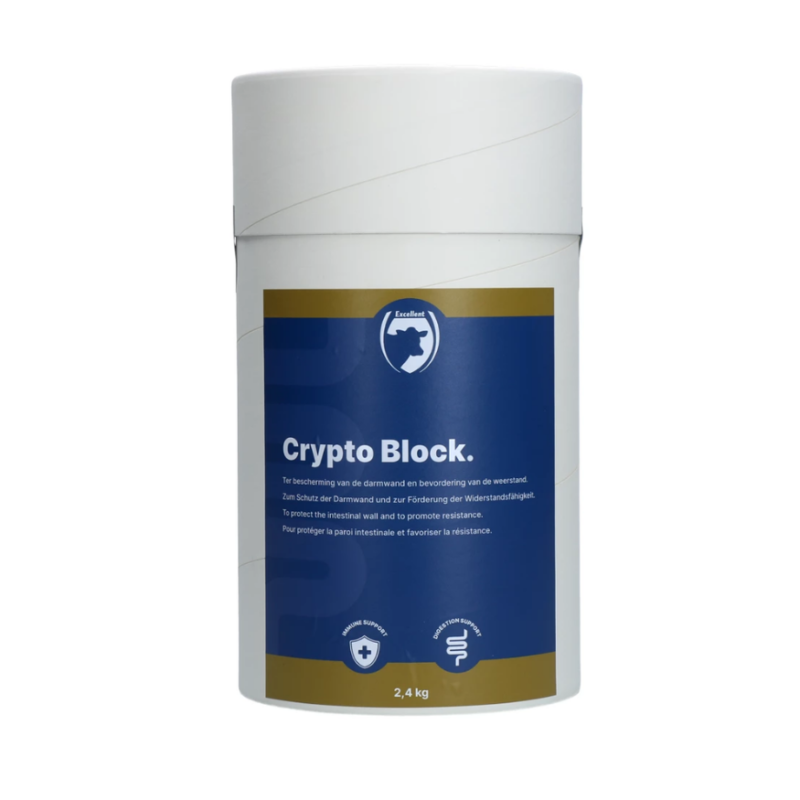 Crypto Block