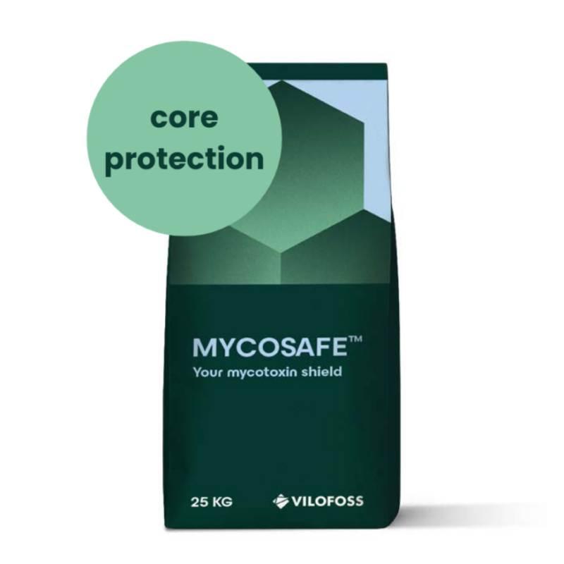 MycoSafe Core toksīnķērājs