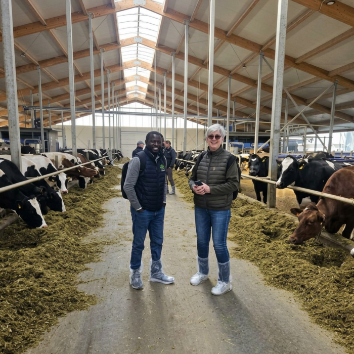 IngMar agri ēdināšanas receptes izveide