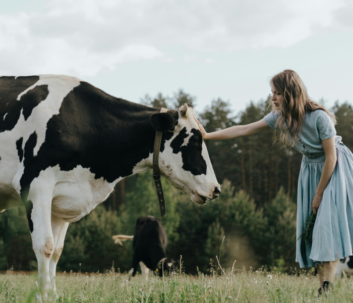IngMar agri lopkopība 6